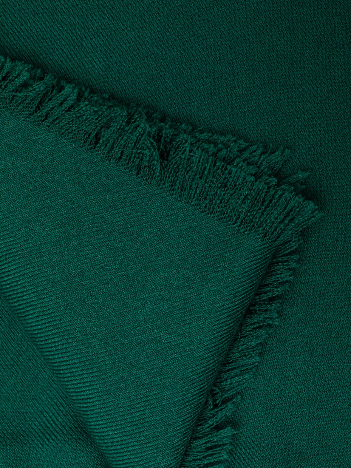 AKRIS Gallus Green Cashmere Scarf - Image 4