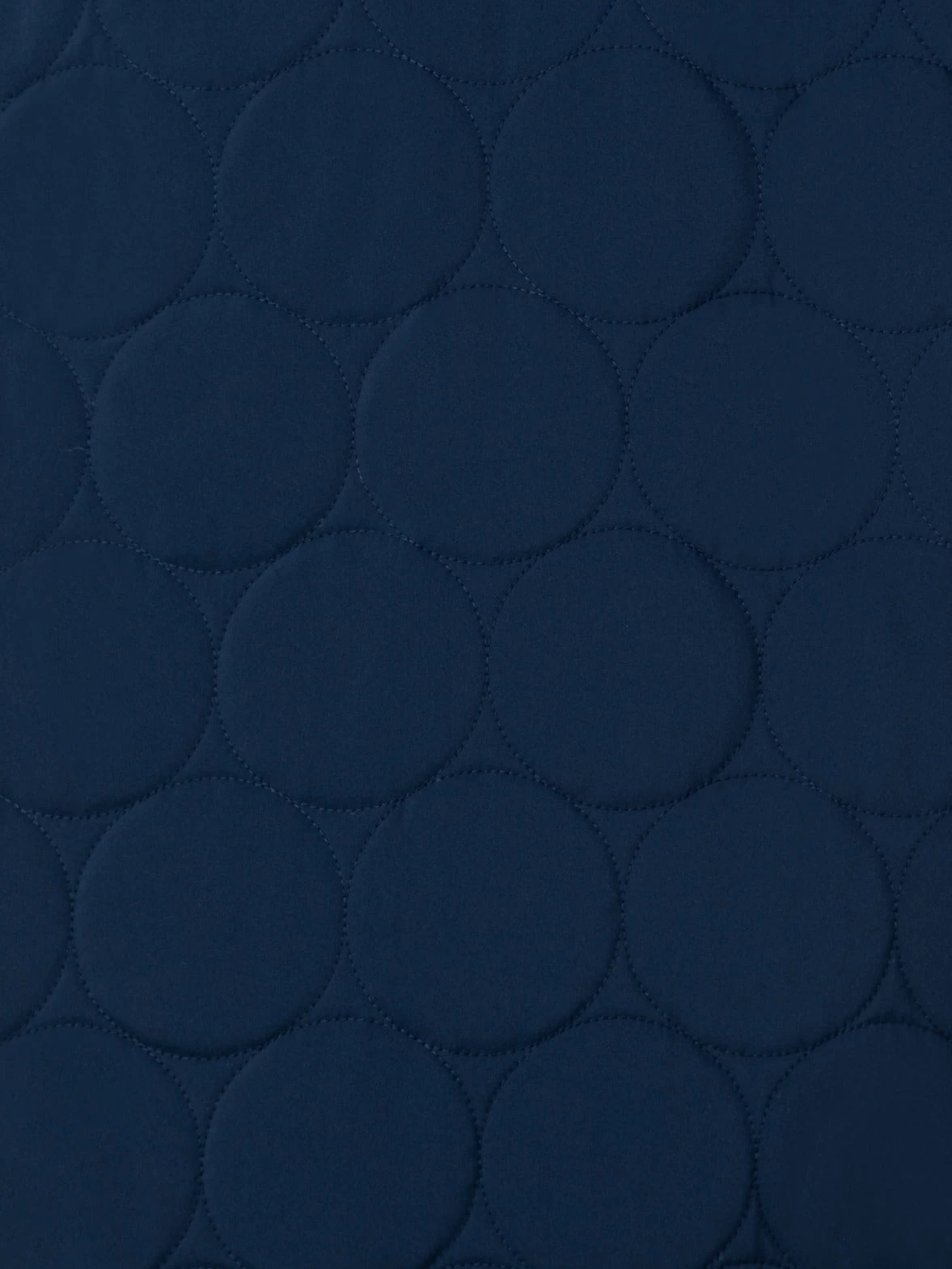 Cape Puffer Jacket With XL Dot Quilt - Image 10